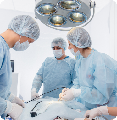 Blog-58-Image-2-Skilled-Bariatric-Surgeons